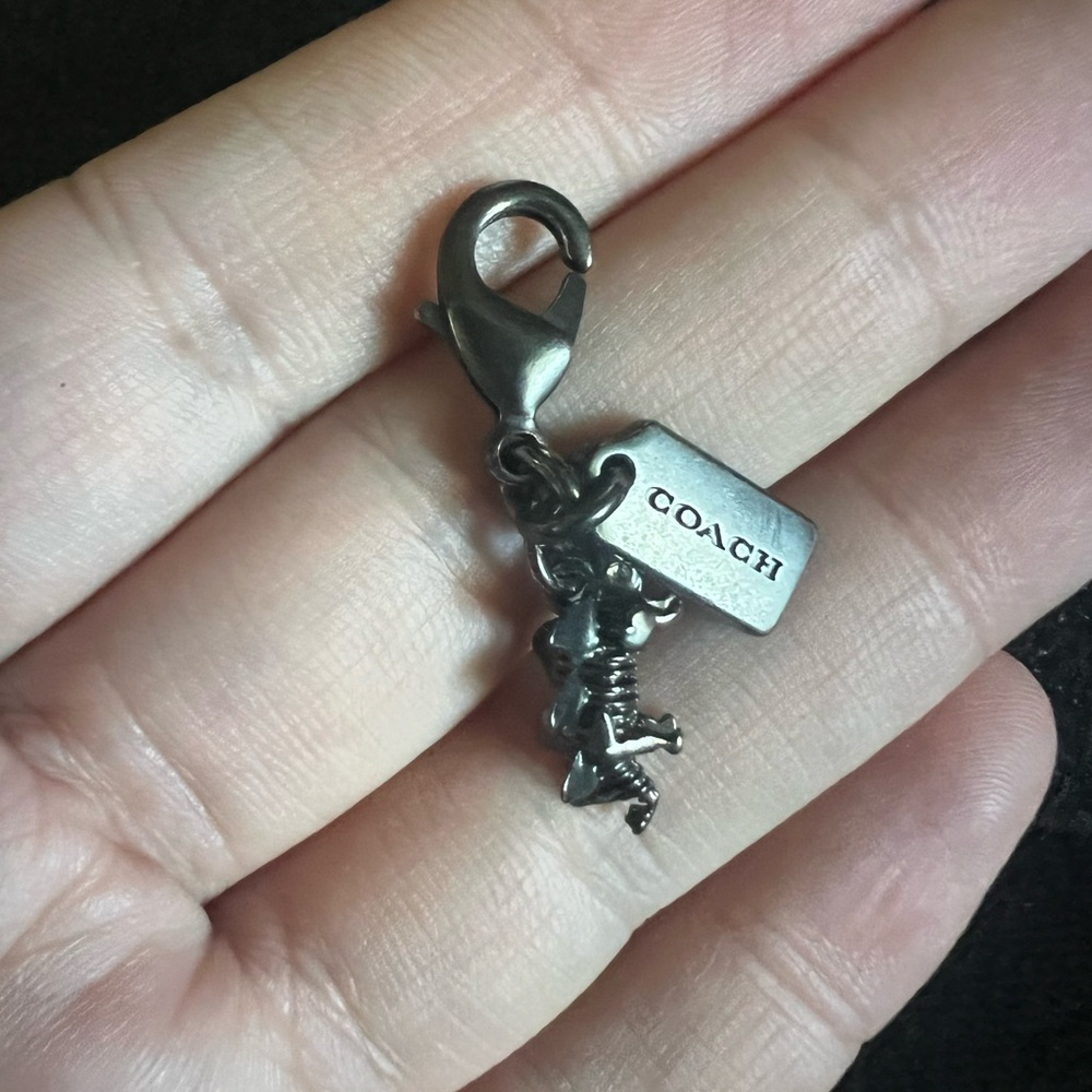 Coach Stegosaurus charms: please read the description - Picture 3 of 7